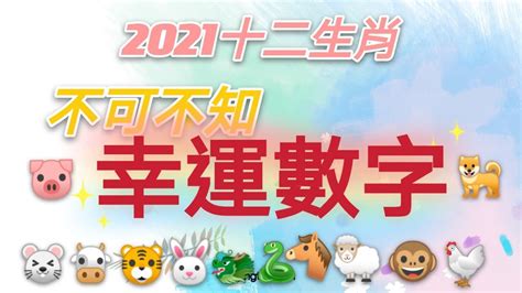 12生肖幸運數字|12生肖「幸運數字」曝光！專家：掌握好一生富貴